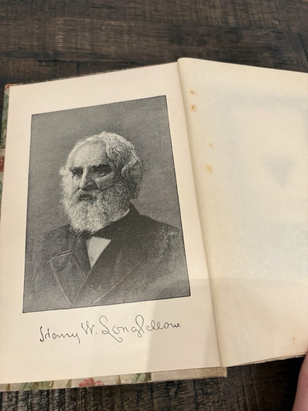 1893 Evangeline, A Tale Of Acadie by Henry Wadsworth Longfellow Rare Flower HC - Picture 11 of 16